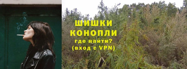 крисы Баксан