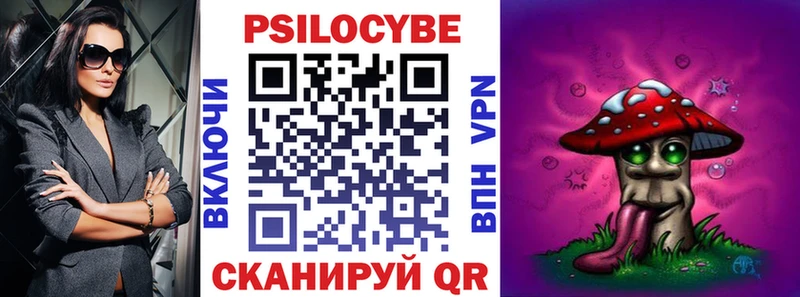 Галлюциногенные грибы Psilocybine cubensis  Купить  Пласт 